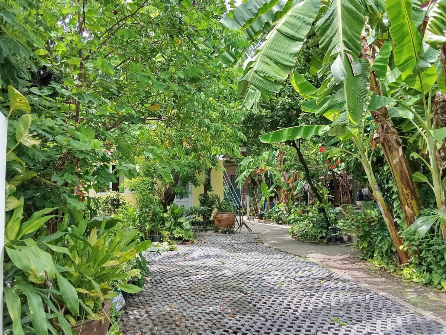 Young And Beautiful Guest house